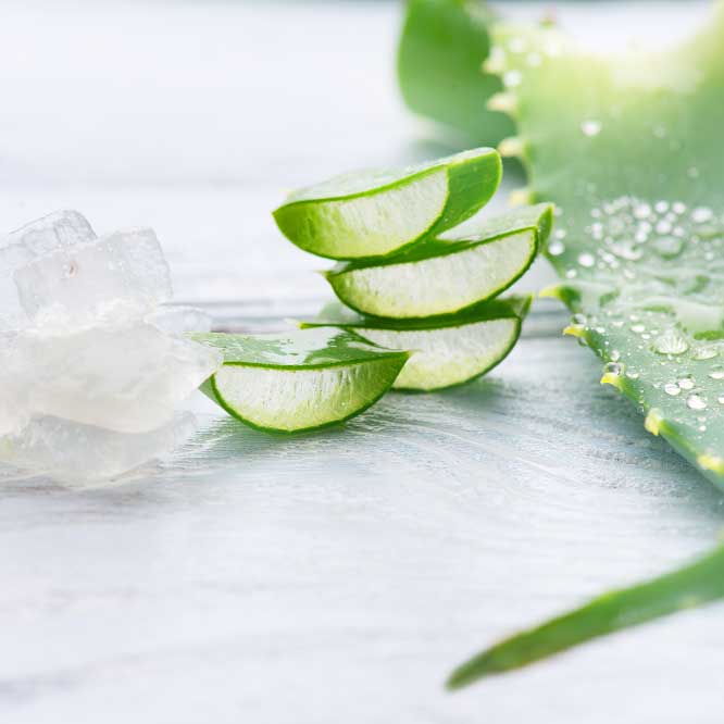 Aloe Vera: Le secret expert pour des cheveux éclatants!