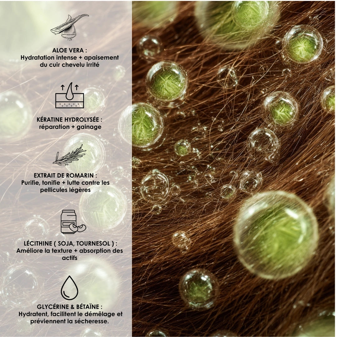 Routine Aloe Vera – Purification & apaisement du cuir chevelu