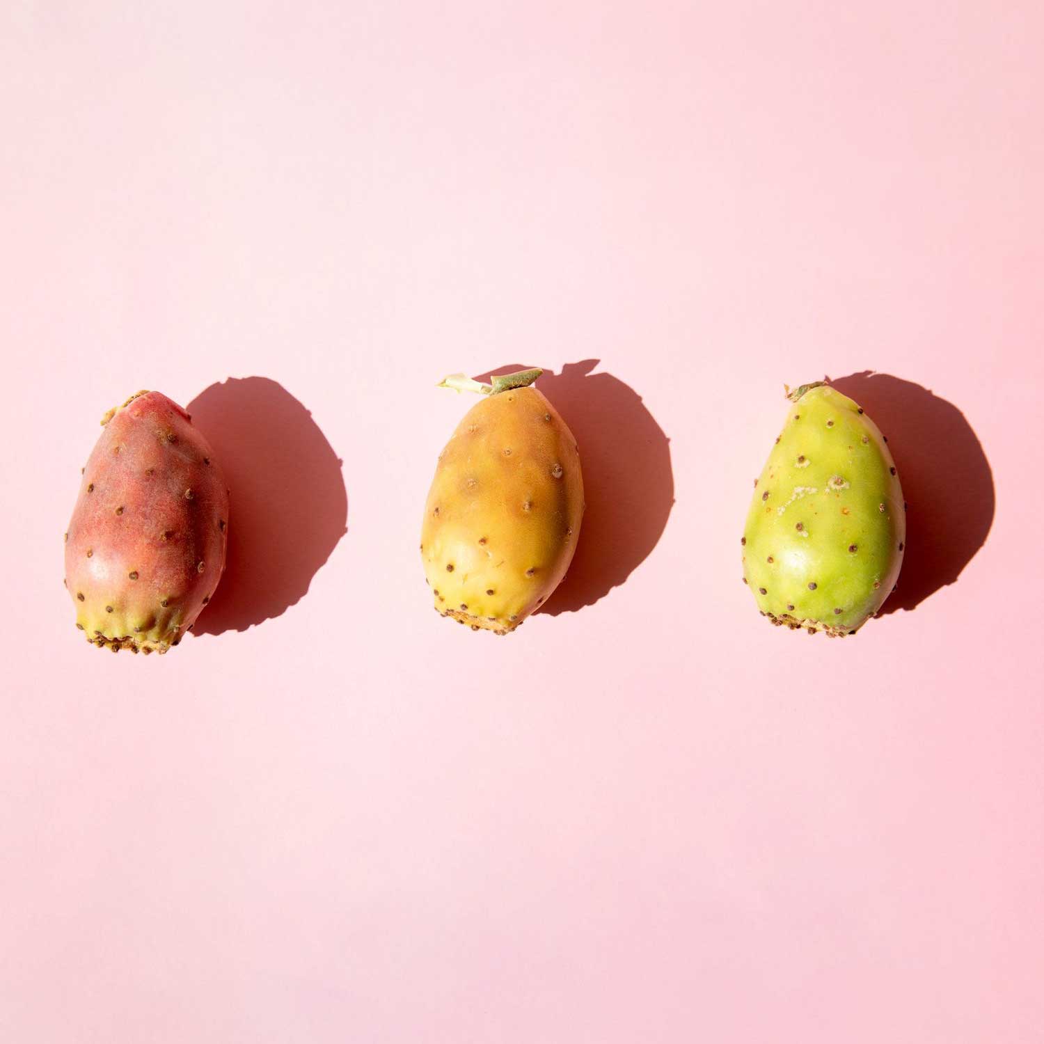 Trio B.otox x prickly pear